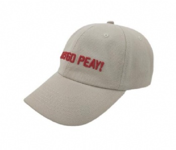 Baseball cap / Dad hat